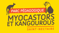 Parc pédagogique Myocastors et Kangourous - Saint-Nectaire