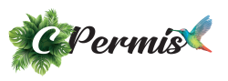 C'permis auto ecole