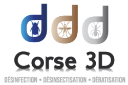 CORSE 3D