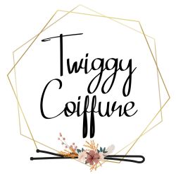 TWIGGY Coiffure (16)
