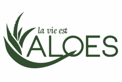 La vie est Aloes