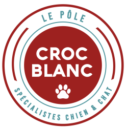 Magasin Croc Blanc - Spécialiste Chiens et Chats (16)