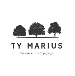 TY MARIUS