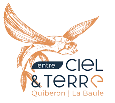 Entre Ciel et Terre- Quiberon - La Baule